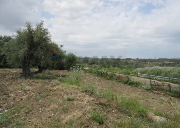 Giardino - Agricultural land pista del sole
s.n.c., Melilli - photo 11