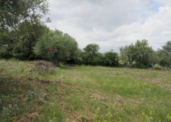 Giardino - Agricultural land pista del sole
s.n.c., Melilli - photo 16