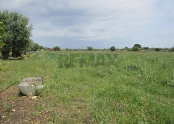 Giardino - Agricultural land pista del sole
s.n.c., Melilli - photo 17