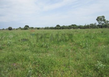 Giardino - Agricultural land pista del sole
s.n.c., Melilli - photo 18