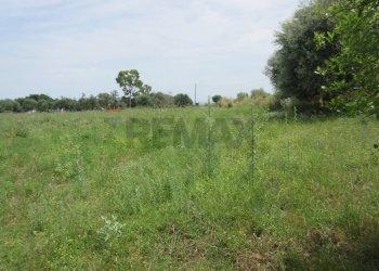 Giardino - Agricultural land pista del sole
s.n.c., Melilli - photo 19