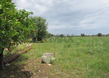 Giardino - Agricultural land pista del sole
s.n.c., Melilli - photo 20