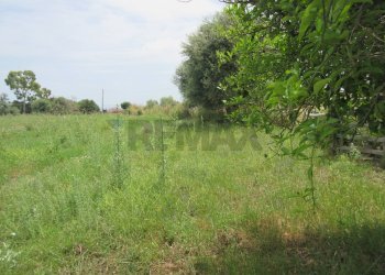 Giardino - Agricultural land pista del sole
s.n.c., Melilli - photo 22