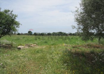 Giardino - Agricultural land pista del sole
s.n.c., Melilli - photo 27