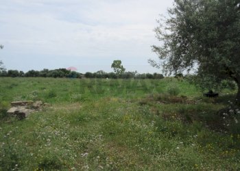 Giardino - Agricultural land pista del sole
s.n.c., Melilli - photo 28