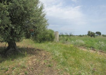 Giardino - Agricultural land pista del sole
s.n.c., Melilli - photo 29