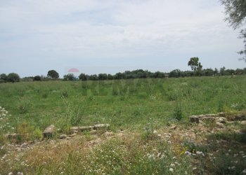 Giardino - Agricultural land pista del sole
s.n.c., Melilli - photo 30