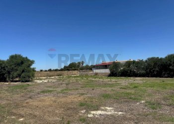 Giardino - Agricultural land Contrada Vulpiglia SP 84, Pachino - photo 4