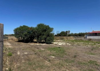 Giardino - Agricultural land Contrada Vulpiglia SP 84, Pachino - photo 5