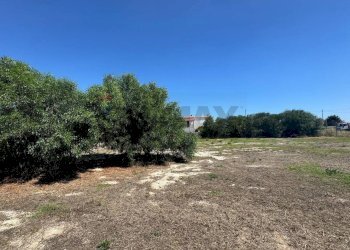 Giardino - Agricultural land Contrada Vulpiglia SP 84, Pachino - photo 7