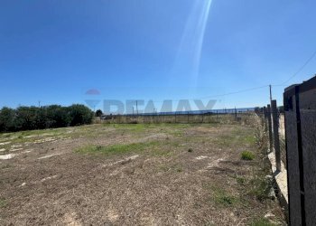 Giardino - Agricultural land Contrada Vulpiglia SP 84, Pachino - photo 8