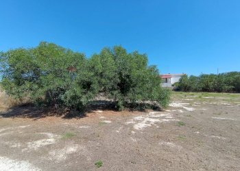 Giardino - Agricultural land Contrada Vulpiglia SP 84, Pachino - photo 11