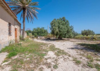 Giardino - Rustico C.DA BONIVINI
 
snc, Noto - foto 22