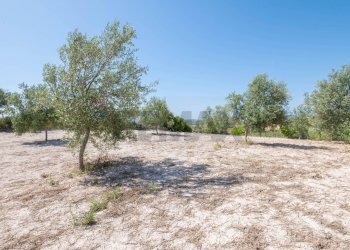 Giardino - Rustico C.DA BONIVINI
 
snc, Noto - foto 25