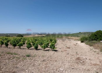 Giardino - Rustico C.DA BONIVINI
 
snc, Noto - foto 27