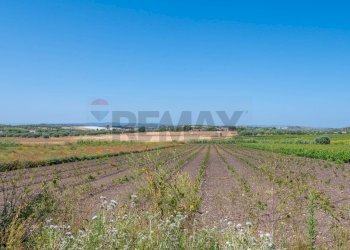 Giardino - Rustico C.DA BONIVINI
 
snc, Noto - foto 32