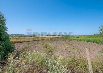 Vista delle montagne - Rustico C.DA BONIVINI
 
snc, Noto - foto 33