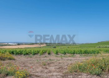 Giardino - Rustico C.DA BONIVINI
 
snc, Noto - foto 38