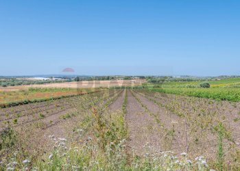 Giardino - Rustico C.DA BONIVINI
 
snc, Noto - foto 39