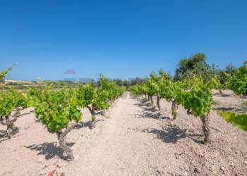 Vista dell\'acqua - Rustico C.DA BONIVINI
 
snc, Noto - foto 40
