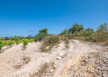 Non correlato - Rustico C.DA BONIVINI
 
snc, Noto - foto 42