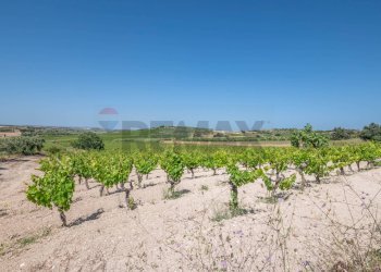 Giardino - Rustico C.DA BONIVINI
 
snc, Noto - foto 43