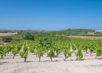 Vista delle montagne - Rustico C.DA BONIVINI
 
snc, Noto - foto 45