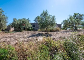 Giardino - Rustico C.DA BONIVINI
 
snc, Noto - foto 46