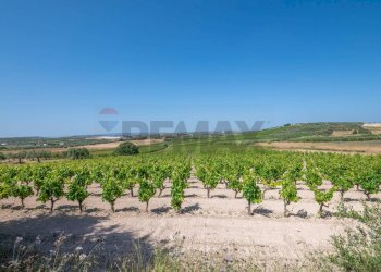 Giardino - Rustico C.DA BONIVINI
 
snc, Noto - foto 47