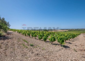 Giardino - Rustico C.DA BONIVINI
 
snc, Noto - foto 49