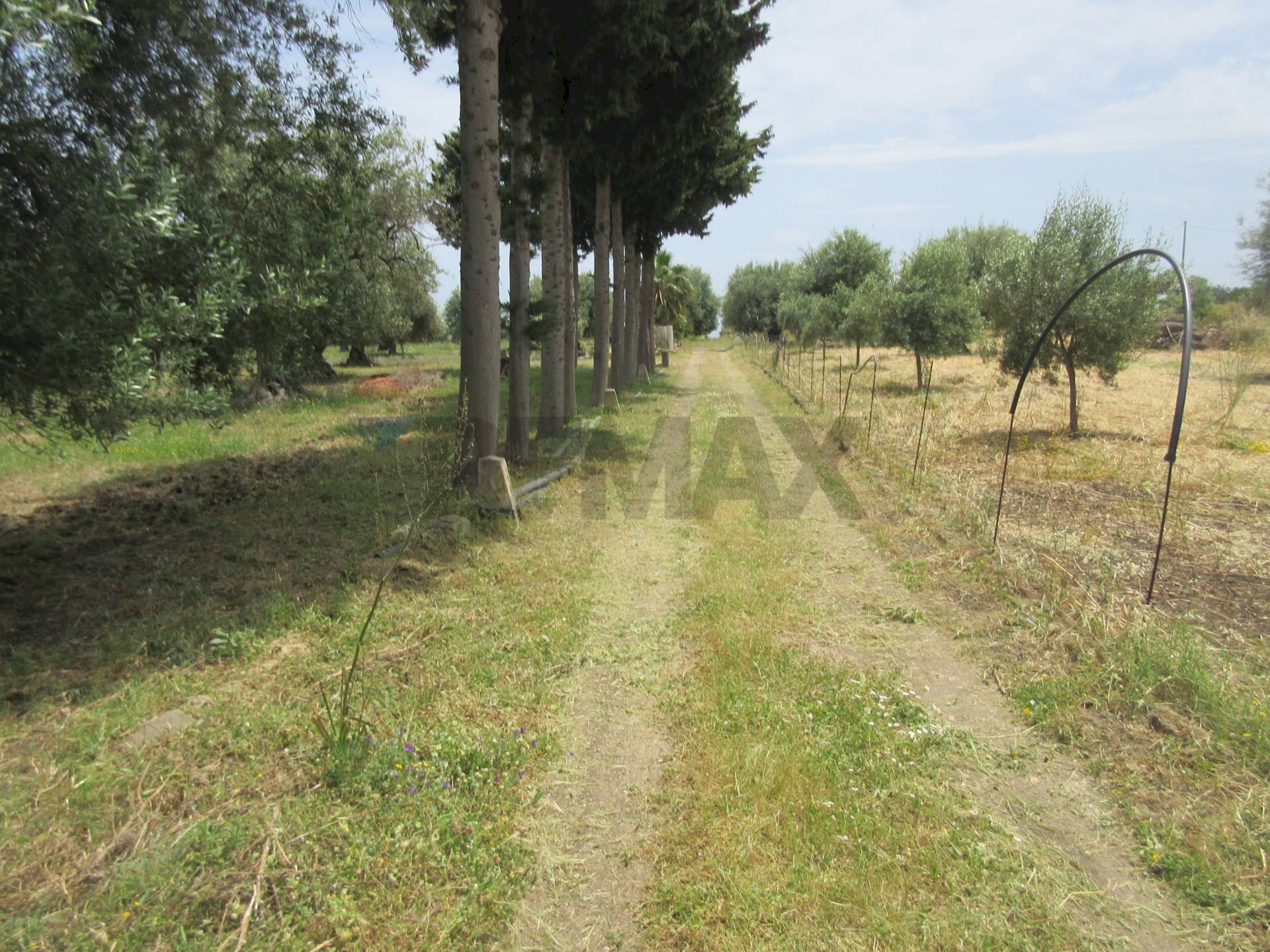 Giardino - Terreno agricolo pista del sole
 
s.n.c., Melilli - foto 1