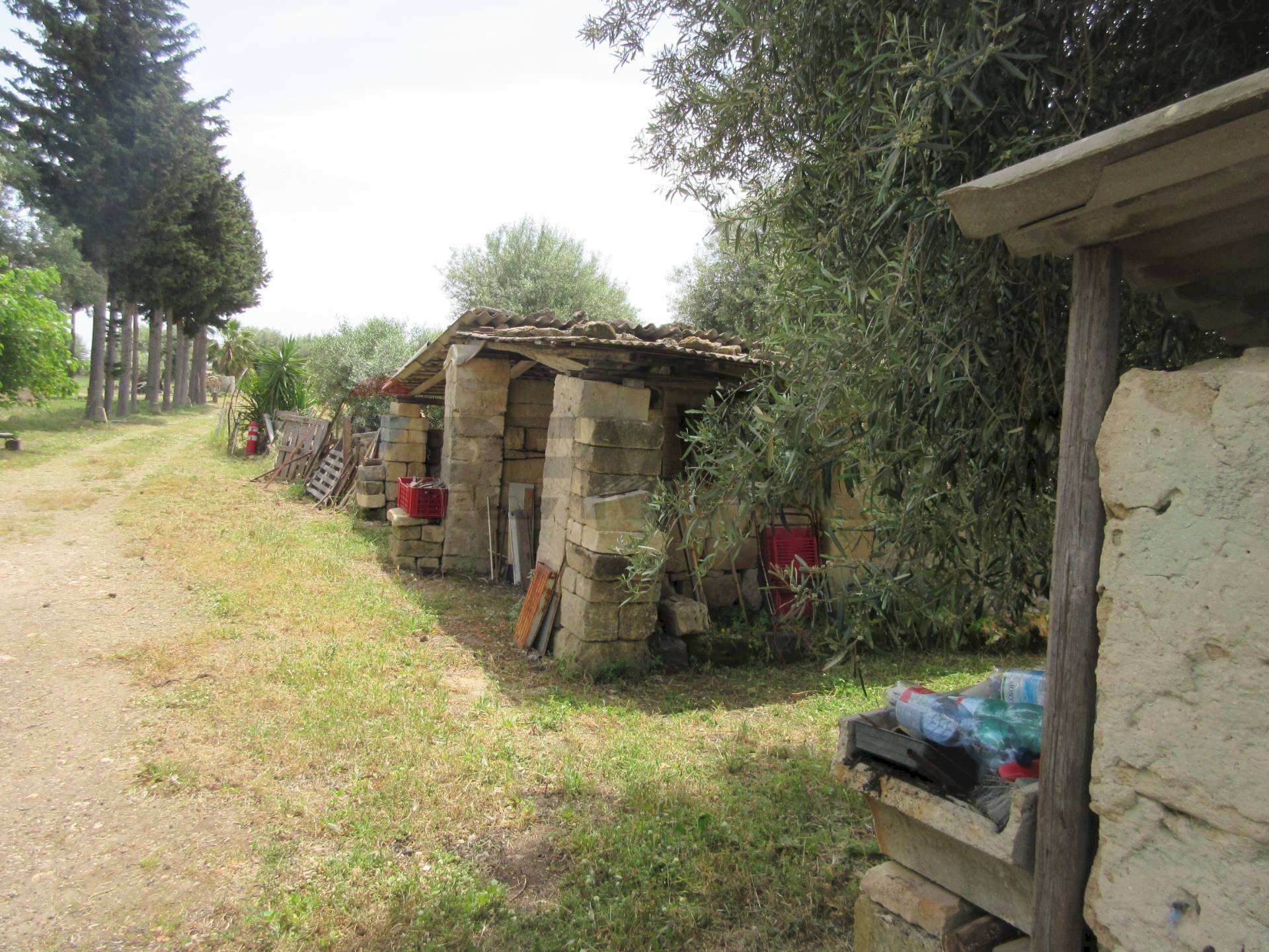 Giardino - Terreno agricolo pista del sole
 
s.n.c., Melilli - foto 2