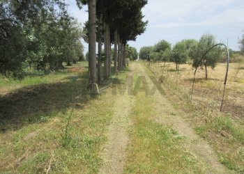 Giardino - Terreno agricolo pista del sole
 
s.n.c., Melilli - foto 1
