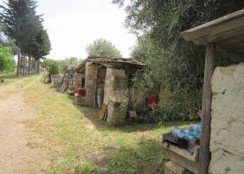Giardino - Terreno agricolo pista del sole
 
s.n.c., Melilli - foto 2