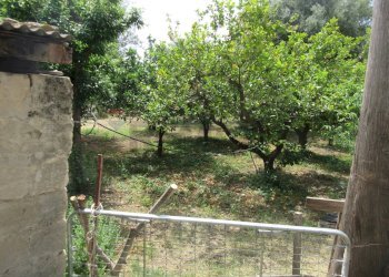 Giardino - Terreno agricolo pista del sole
 
s.n.c., Melilli - foto 4