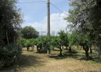 Giardino - Terreno agricolo pista del sole
 
s.n.c., Melilli - foto 5