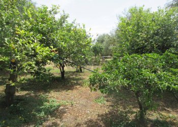 Giardino - Terreno agricolo pista del sole
 
s.n.c., Melilli - foto 6