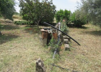 Giardino - Terreno agricolo pista del sole
 
s.n.c., Melilli - foto 9