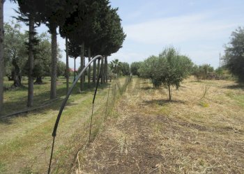 Giardino - Terreno agricolo pista del sole
 
s.n.c., Melilli - foto 12