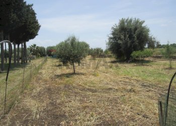 Giardino - Terreno agricolo pista del sole
 
s.n.c., Melilli - foto 13