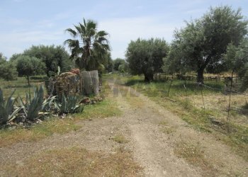 Giardino - Terreno agricolo pista del sole
 
s.n.c., Melilli - foto 16