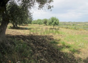 Giardino - Terreno agricolo pista del sole
 
s.n.c., Melilli - foto 23