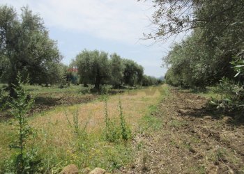 Giardino - Terreno agricolo pista del sole
 
s.n.c., Melilli - foto 25