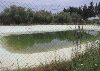 Giardino - Terreno agricolo pista del sole
 
s.n.c., Melilli - foto 32
