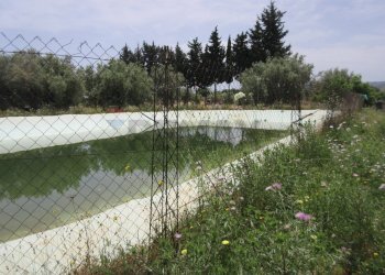 Giardino - Terreno agricolo pista del sole
 
s.n.c., Melilli - foto 33