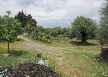 Giardino - Terreno agricolo pista del sole
 
s.n.c., Melilli - foto 53