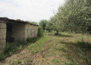 Giardino - Terreno agricolo pista del sole
 
s.n.c., Melilli - foto 58