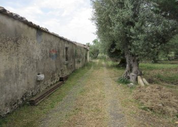 Giardino - Terreno agricolo pista del sole
 
s.n.c., Melilli - foto 64