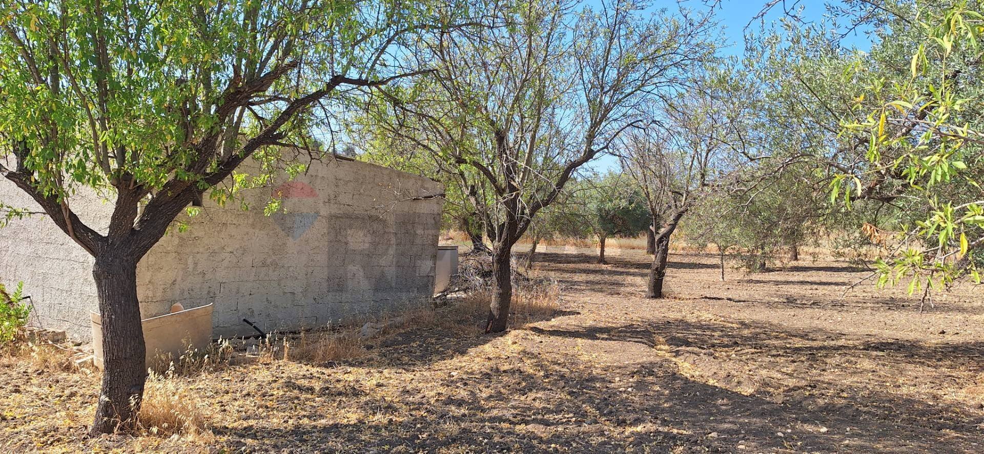 Giardino - Terreno agricolo Noto - foto 1