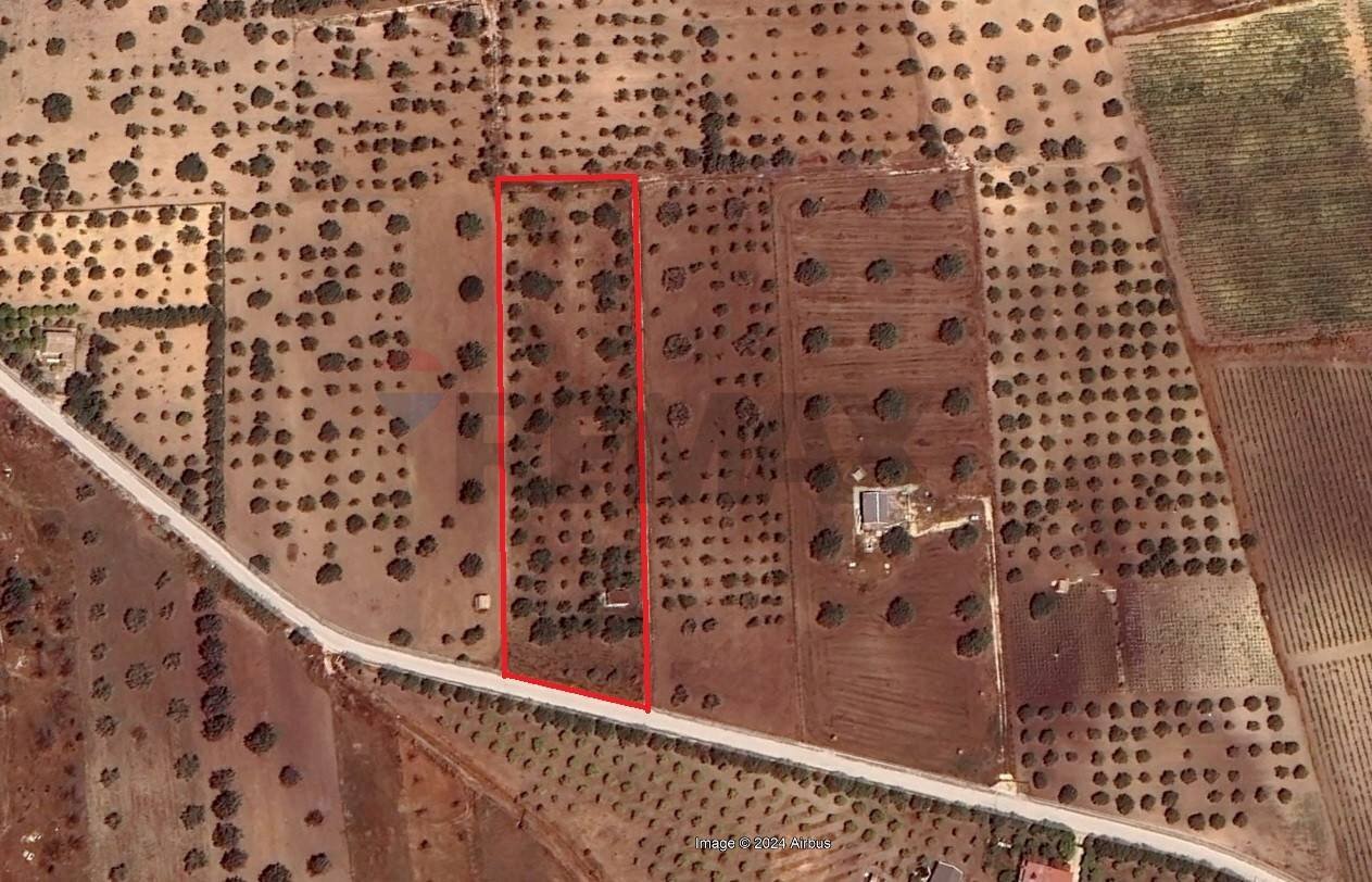 Posizione della mappa - Terreno agricolo Noto - planimetria 1